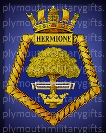 HMS Hermione Magnet